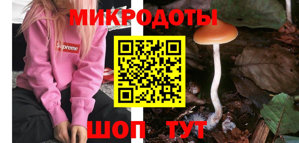 Галлюциногенные грибы Psilocybine cubensis  Вход с VPN  Псилоцибиновые грибы Cubensis  Ирбит 